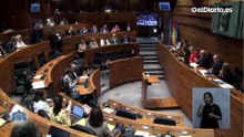 Un diputado de Vox manda "a tomar por culo" al presidente del parlamento de Asturias en el pleno