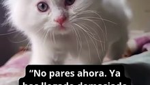 Sigue adelante, incluso si estás cansado o has tenido un mal día.