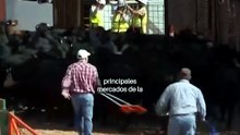 Chihuahua reanuda la exportación de ganado a EE. UU. tras 16 meses de suspensión