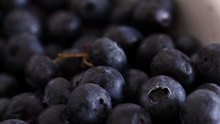 Blueberries Were Once a Sacred Fruit! 😲