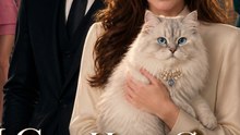 I Can Hear Cats, so I Tamed the Mafia Boss ENGSUB #AFR