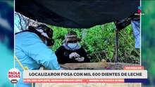 Hallan 1,600 dientes en una fosa clandestina en Michoacán | De Pisa y Corre con Paola Rojas