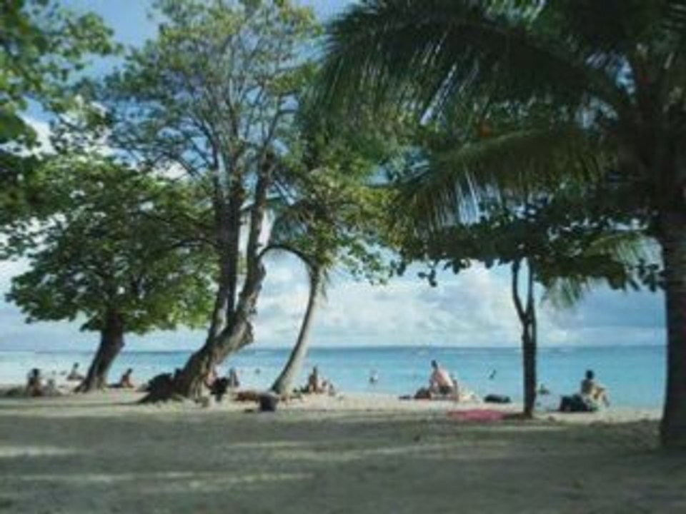 Guadeloupe diverse.