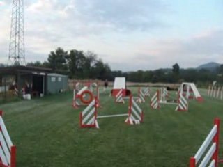 kaina entrainement agility 1