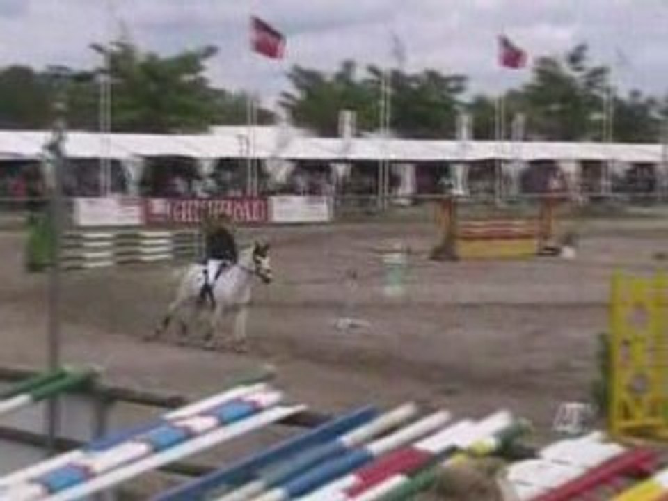 Lamotte2008_0003
