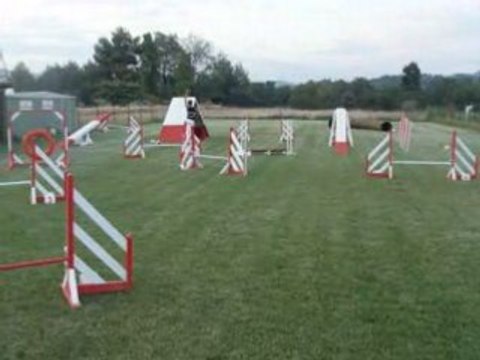 kaina entrainement agility 2