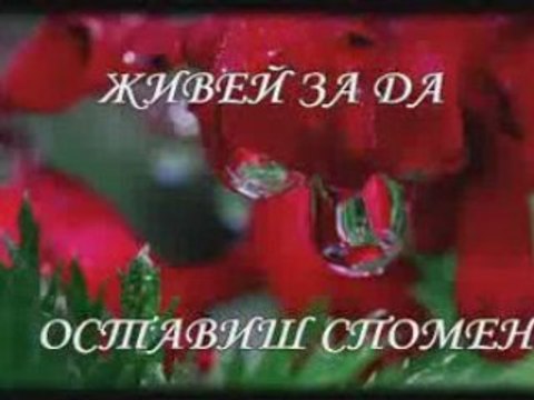 Живей, когато искаш да умреш