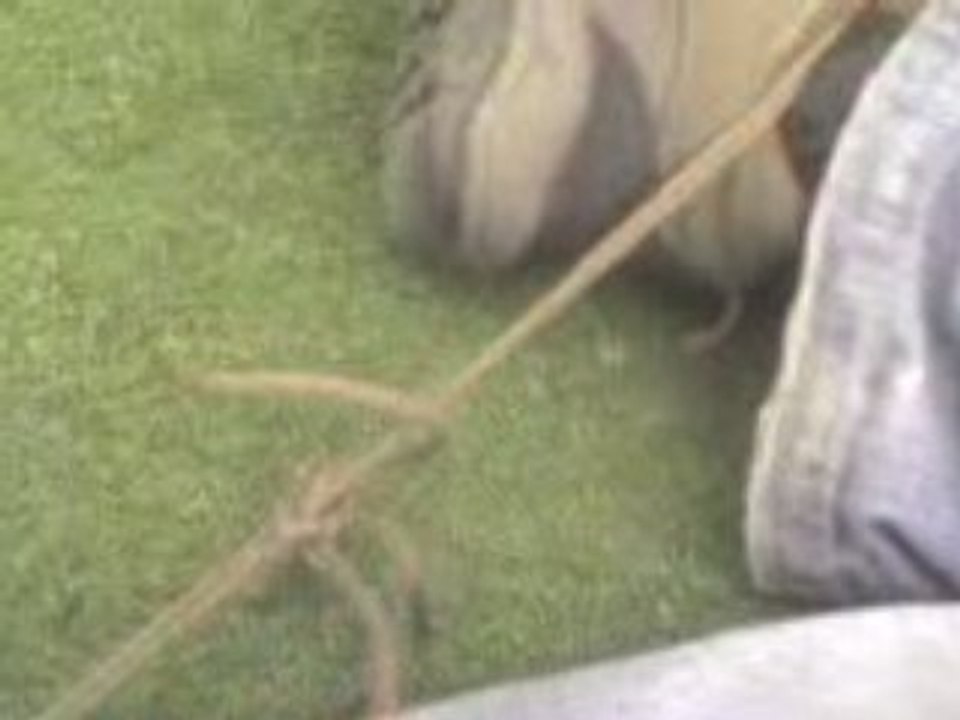 Tyler, Alias Frenet€€k fait Jakass en Skate :-) (Video2)