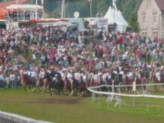 Marché-concours 2008