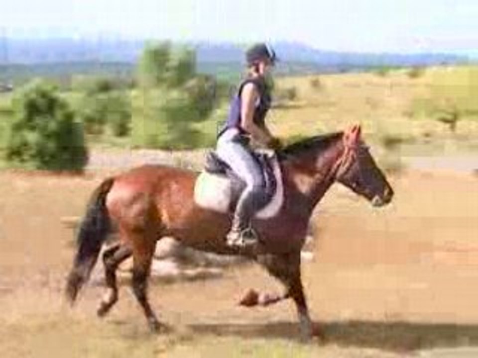 Canelle & Jason - Cross