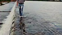 Harpal Singh jadon