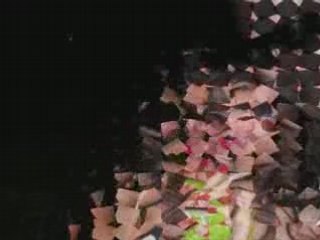 Soirée avc les zousous