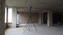 NERVOUS TREE (2013) By/ kristof kintera