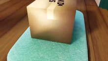 The Package Protector  (Patent Pending)