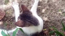So de boa eu e minha Gata