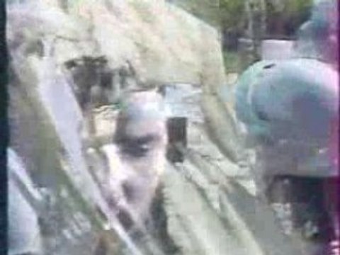 Dżem - Jak malowany ptak (teledysk)