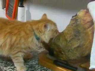 Pillamos al ladrón roba-jamones...