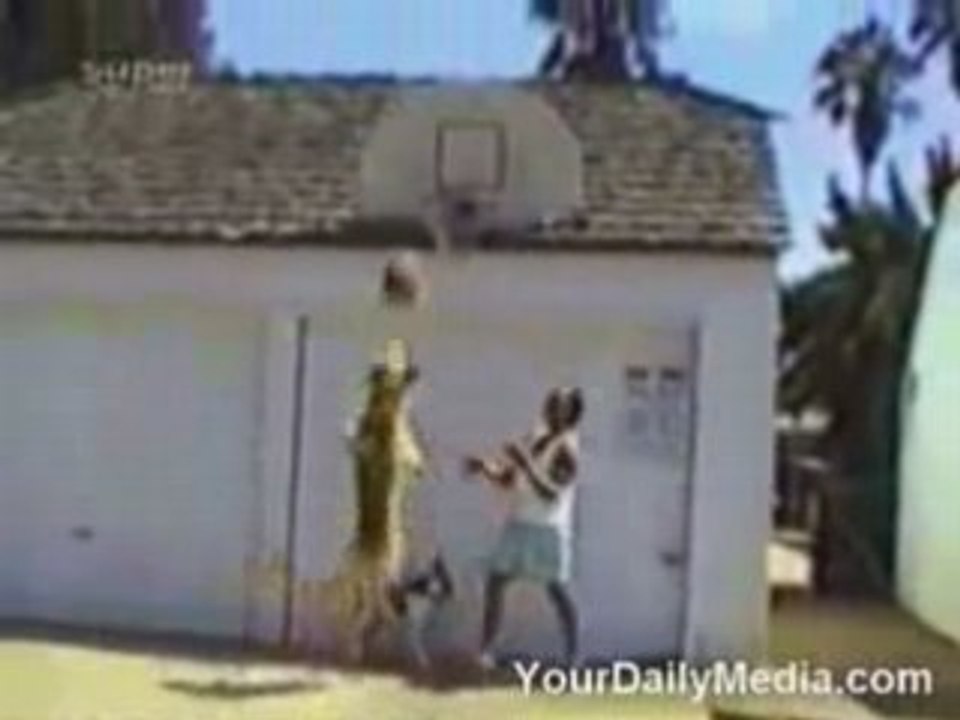 Video gag Basket