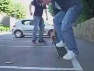 skate entre pots elements