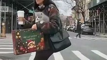 Cat Advent Calendar 24 Days of Surprise Toys for Your Kitty 🎄🐱