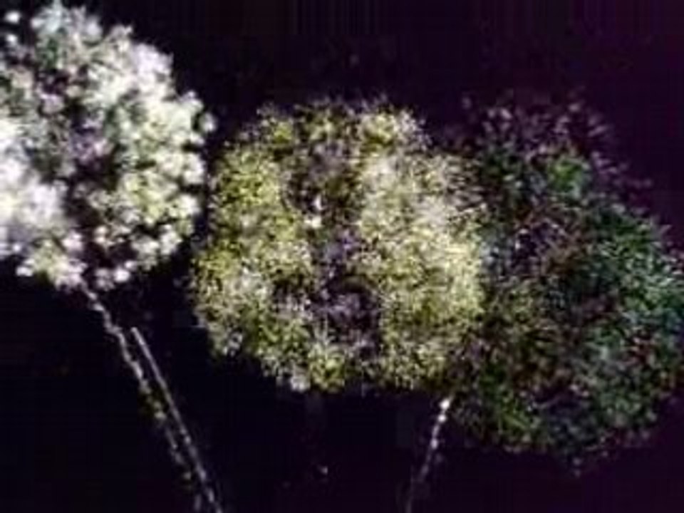 Feux d'artifice d'Anglet, 19 juillet 2008 part 8