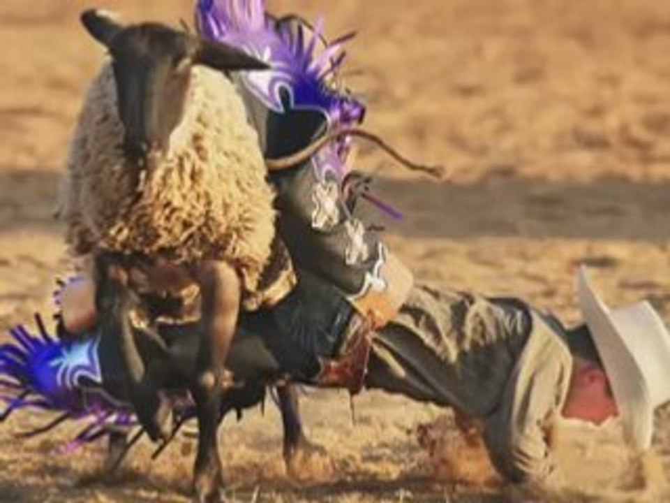 LITTLE RODEO