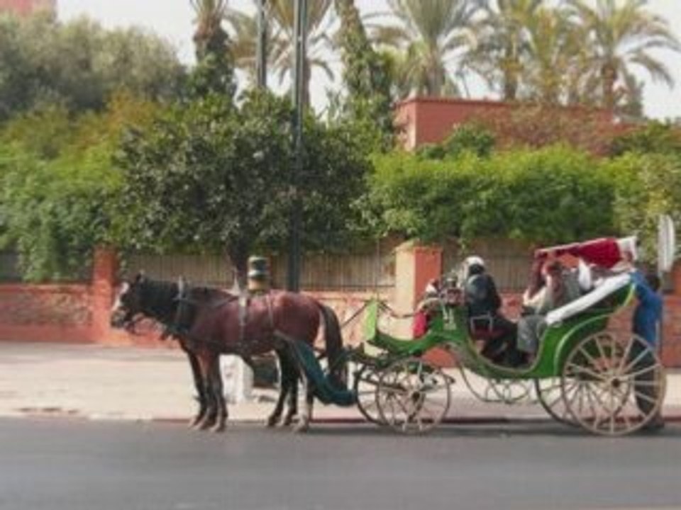 Chaabi a ne pas rate