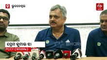 ରାଜ୍ୟ ବାହାରେ ଓରାଙ୍ଗଉଟାନଙ୍କର ହେବ  DNA ଟେଷ୍ଟ; ଲ୍ୟାବ ଖୋଜୁଛନ୍ତି ସରକାର