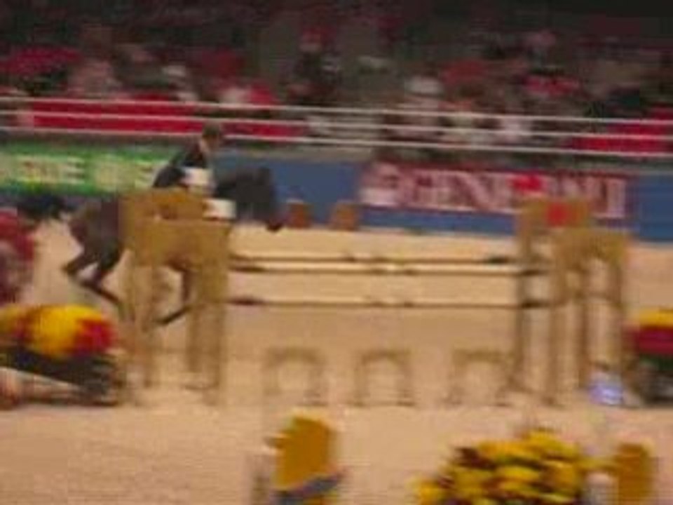 CSI***** au Salon du Cheval 2007