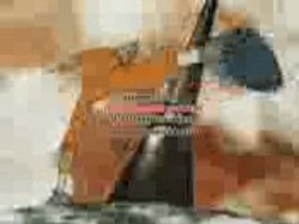 Tibia_NEW