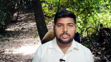 शराब की दुकान में घुसा बंदर! 🍾 बोतल से शराब पीकर कार्टन पर ही सो गया | AS BLOG1 #no669  📝 Description  रांची के ओरमांझी चौक की एक शराब दुकान में उस वक्त हड़कंप मच गया, जब एक बंदर दुकान के अंदर घुस आया। वायरल वीडियो में बंदर को शराब की बोतल से शराब पीते