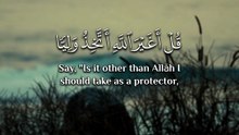 ﴿ قُلْ أغَيْرَ اللَّهِ أتَّخِذُ ولِيًّا فاطِرِ السَّماواتِ وَالأرضِ وَهُوَ يُطْعِمُ وَلَا يُطْعَمُ ﴾