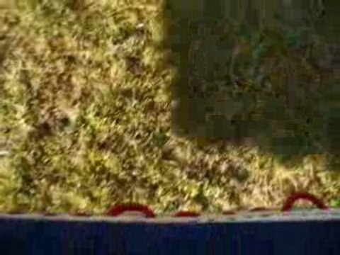 montgolfiere Vol 10 Aout - Atterrissage partie 4