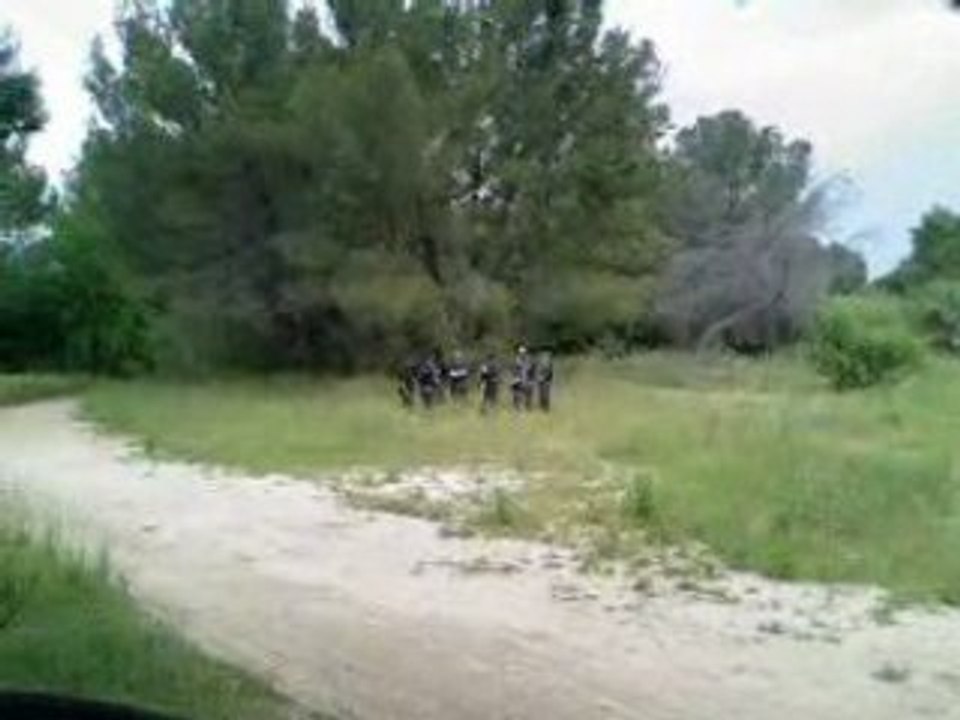 sunny delight : la boisson des airsofteurs !