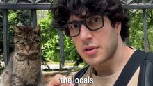 Trying my hand at street interviews. Let me know how I did