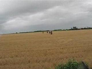 galop dans les chaumes!!!