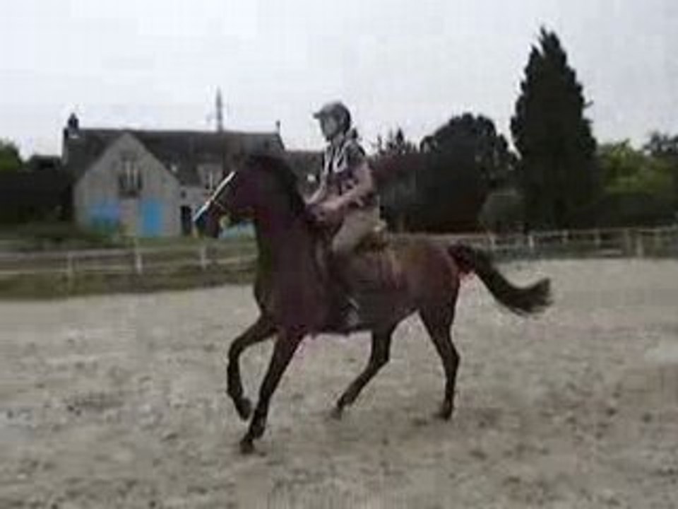 MOV02627 manille