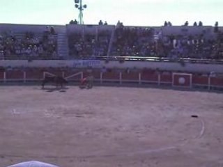 Corrida flamenca juan bautista