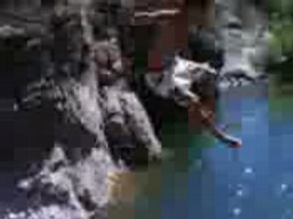 MOV00325