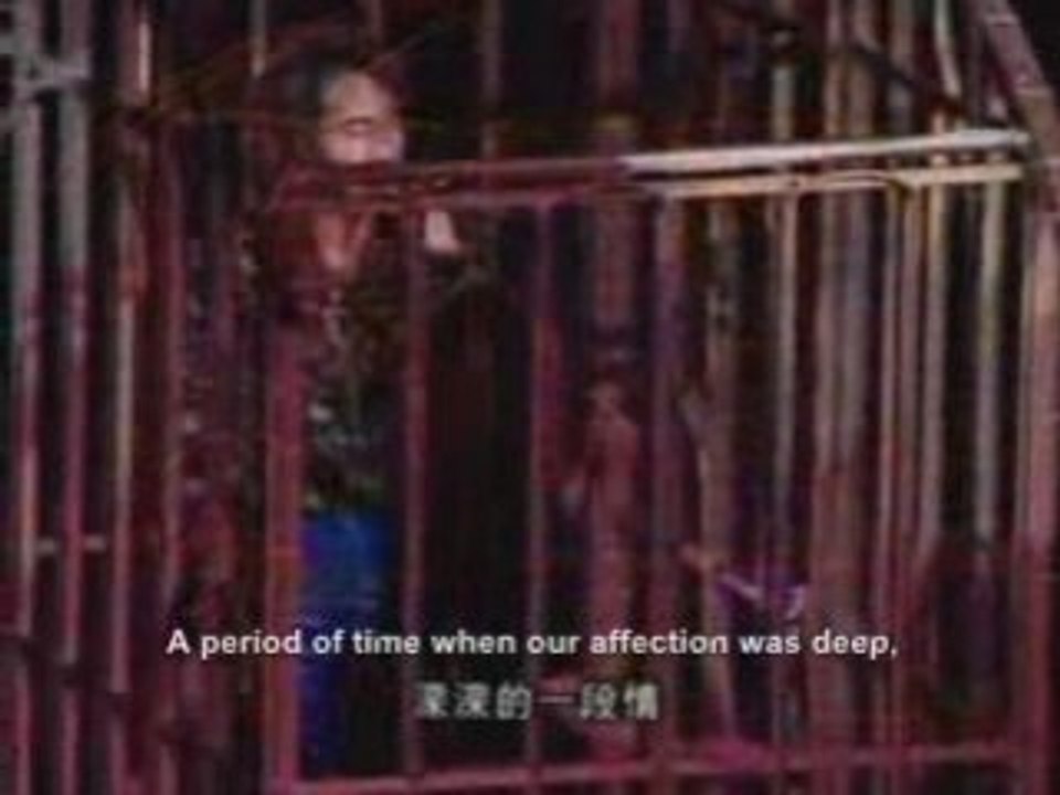 Yue Liang Dai Biao Wo De Xin