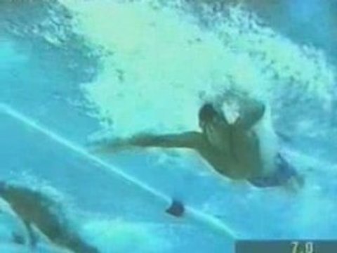 Michael Phelps Dolphin Wins All Olympics Gold
