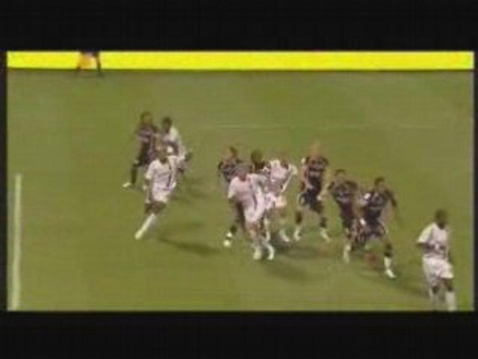 Makoun 1-0 Toulouse