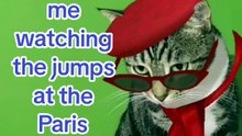 Mochi is such a sports fan 🐾🏅 Obviously artistic gymnastics is her favourite 🤸🏿‍♀️ She didn