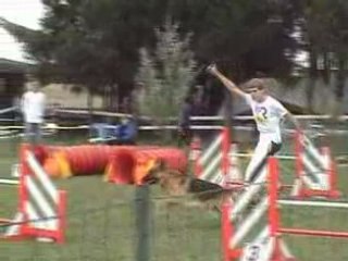 Agility (Open et Degrés du Val de Metz 2008)