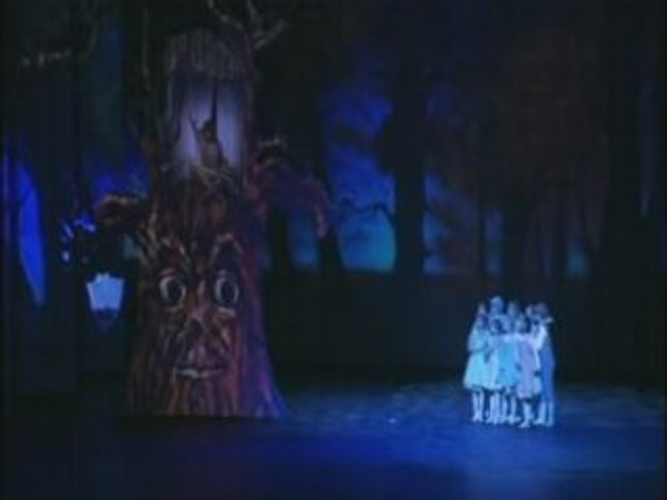 Medley Mysterieux Voyage de Marie Rose 2008