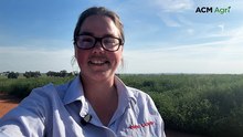 How intercropping has reduced this farmers reliance on fertiliser