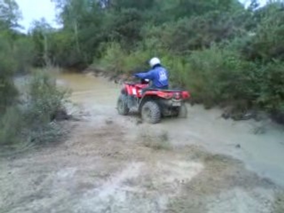 Sortie du 3 août 2008
