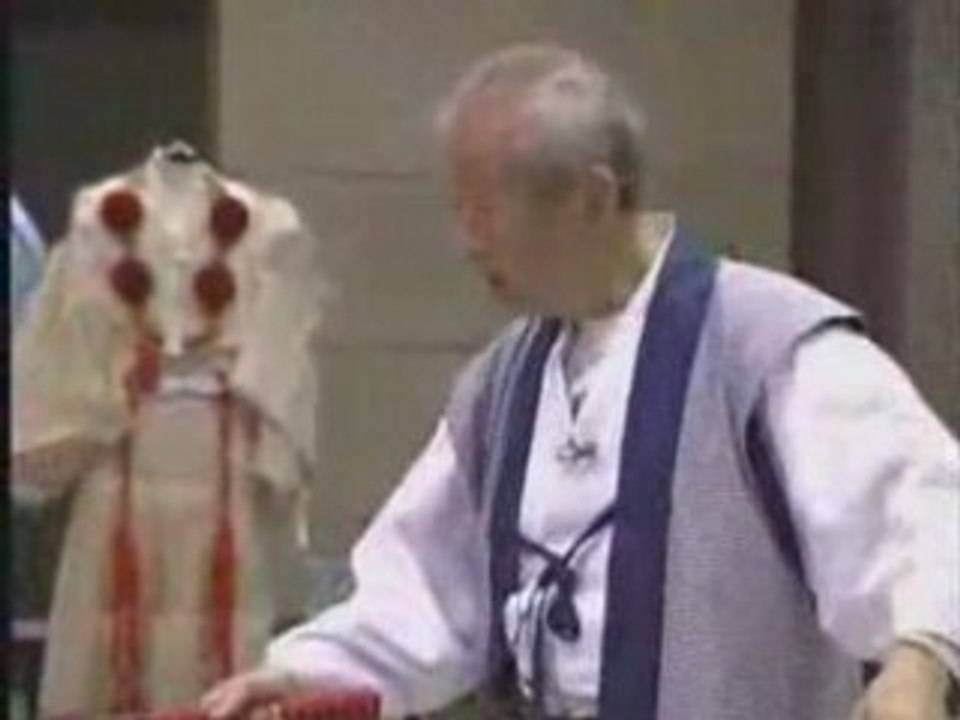 L'essence des 9 écoles de bujinkan ninpo taijutsu