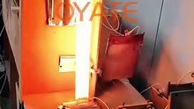 OEM Infrared Heating Tube Manufacturer Customized Length Voltage Wattage Quartz Heater Lamp