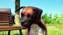 This Goose Became A Blind Dog’s Guide